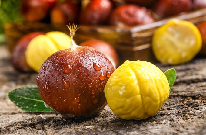 03391d7e0a107ff65023efd5786a5c16