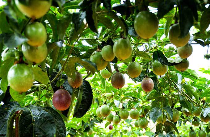 85b3283560044deb924901bc9a99b081