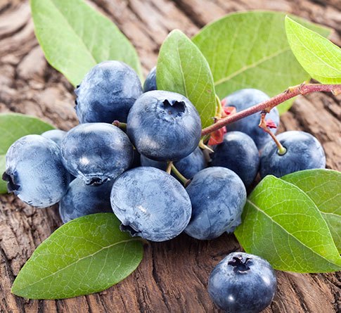 蓝莓