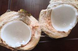 耶肉有哪些营养？什么人适合吃椰肉？