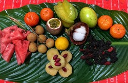 中国热带水果有哪些品种和营养价值？