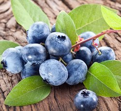 蓝莓