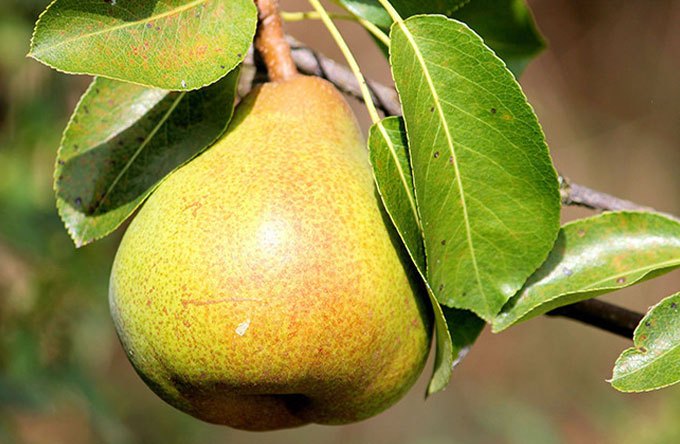 8ff083047e07522b1991d2398d19d06a