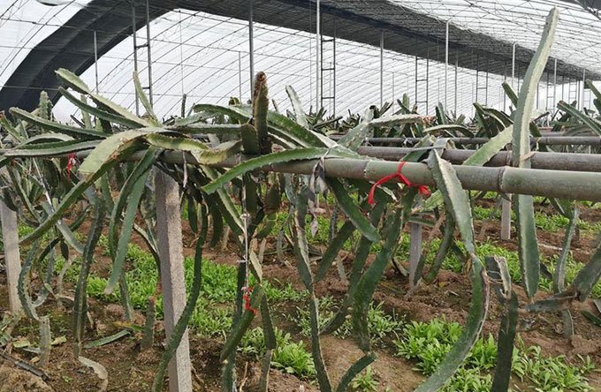 b281d649be727d776391f47fd9e59bd3