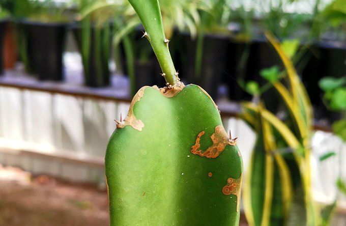 8b616c3db1ae2a995e88b6d0e7724e8e