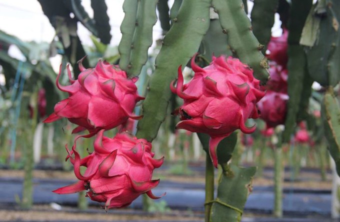 323db00373b657fe2bbc3e175f92a51f