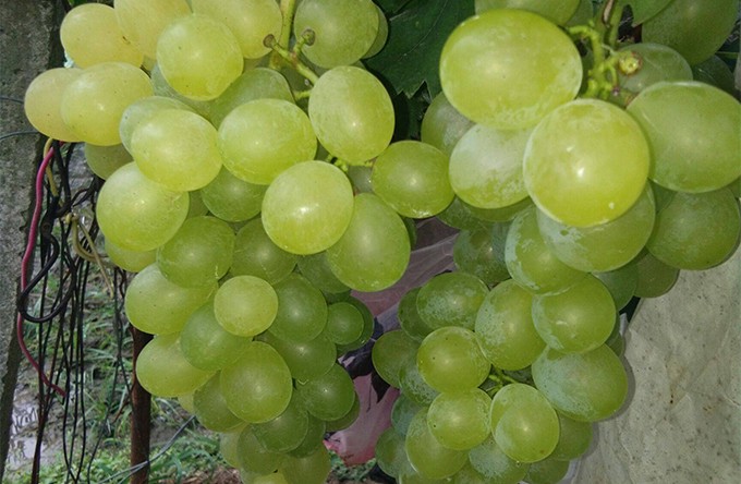 4b10ae584d16f4def51491a6700dd879